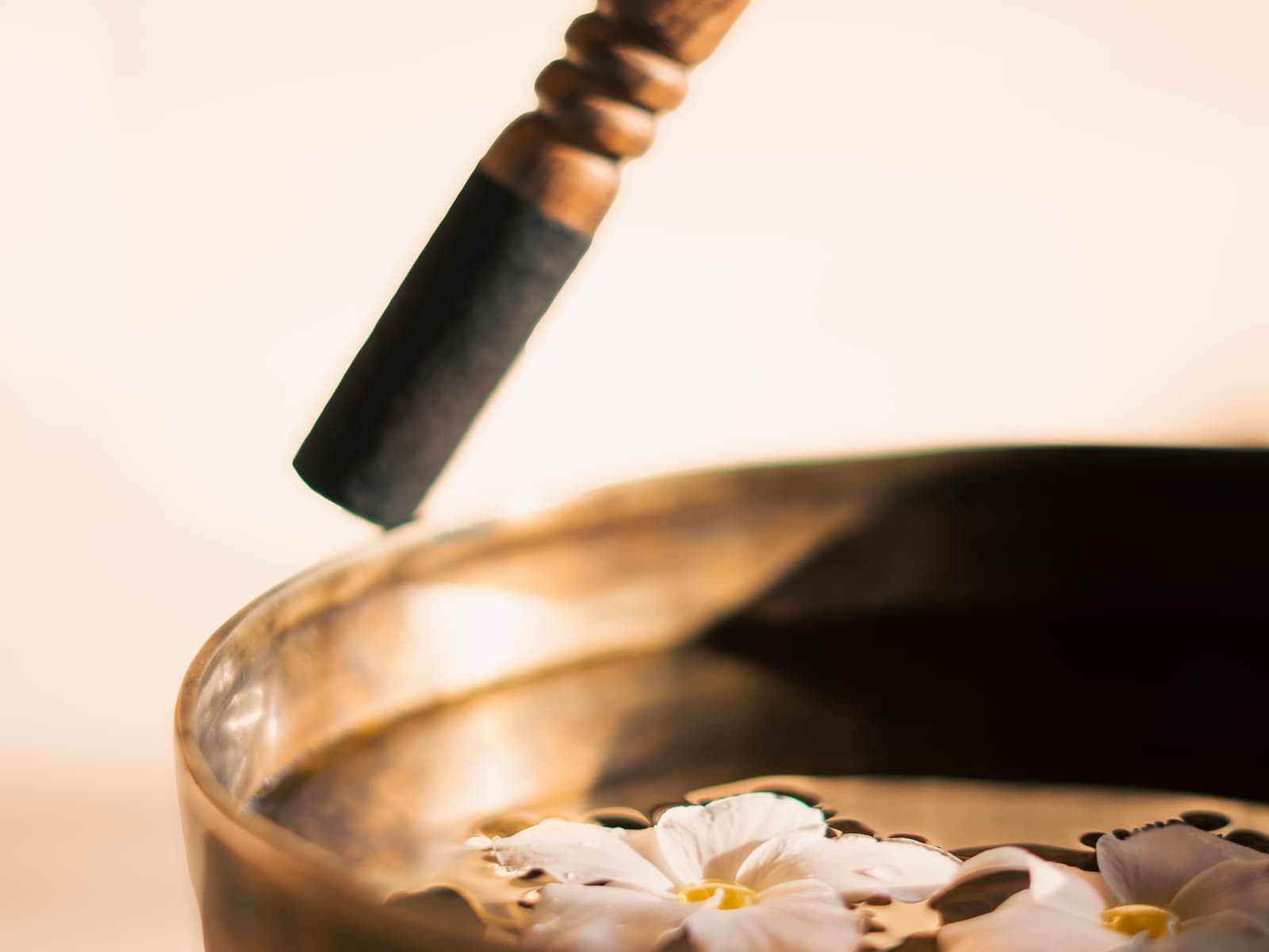 Taça tibetana com flores sobre a água