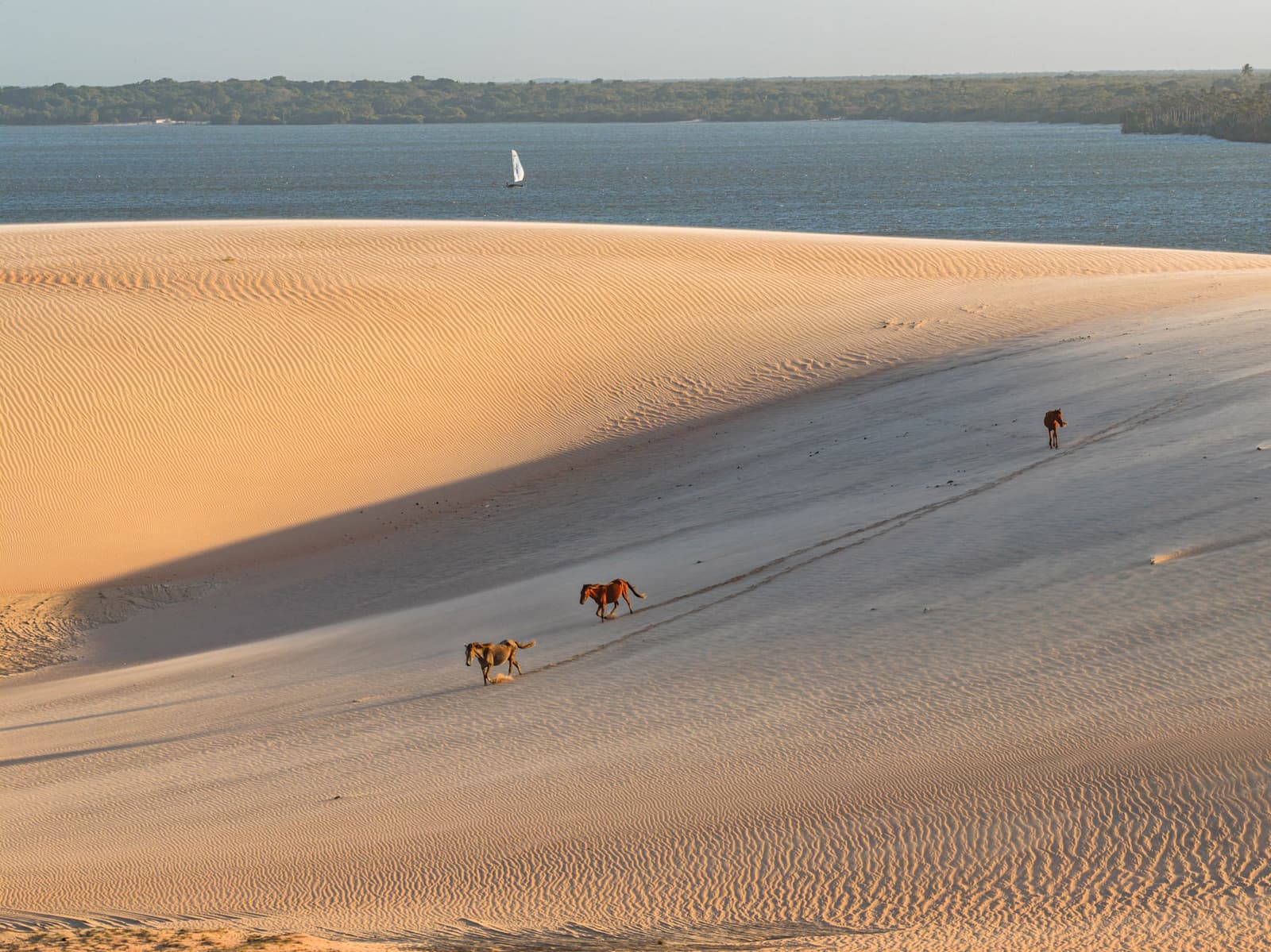 As dunas da Lagoa da Torta, o entorno de Moréias