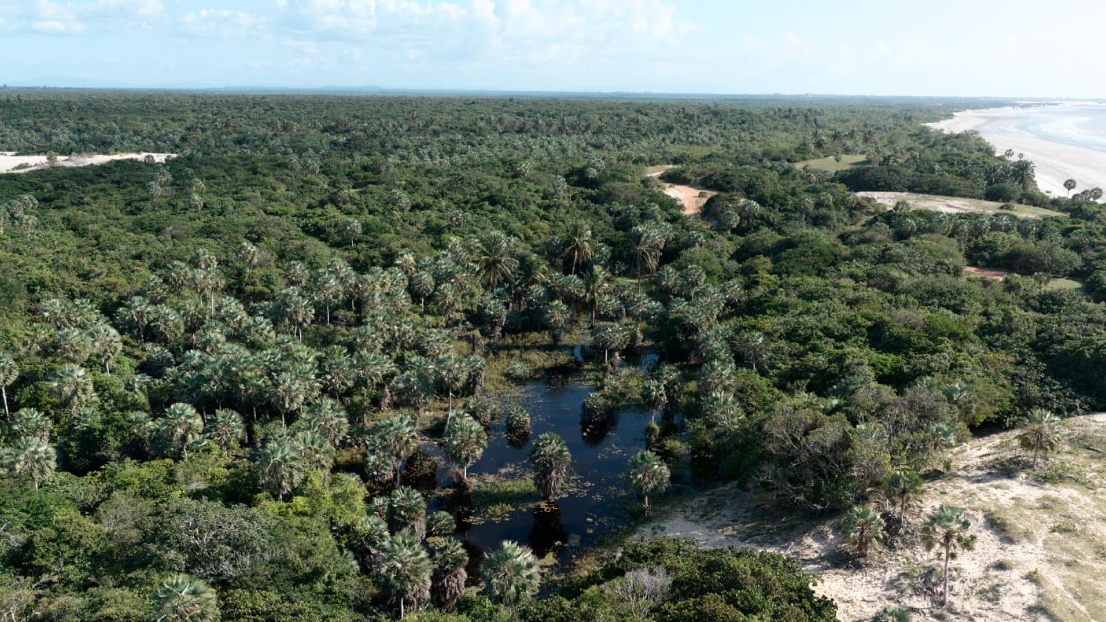 a vida a céu aberto em Moréias