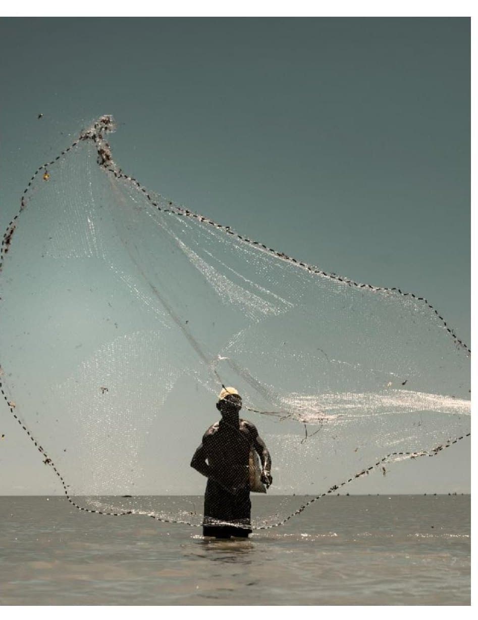 A tarrafa, na beira da praia, na gastronomia de Moréias