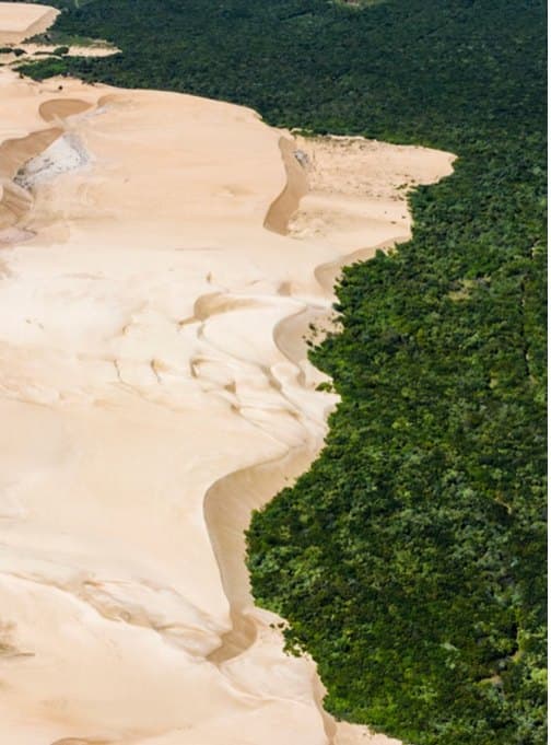Dunas