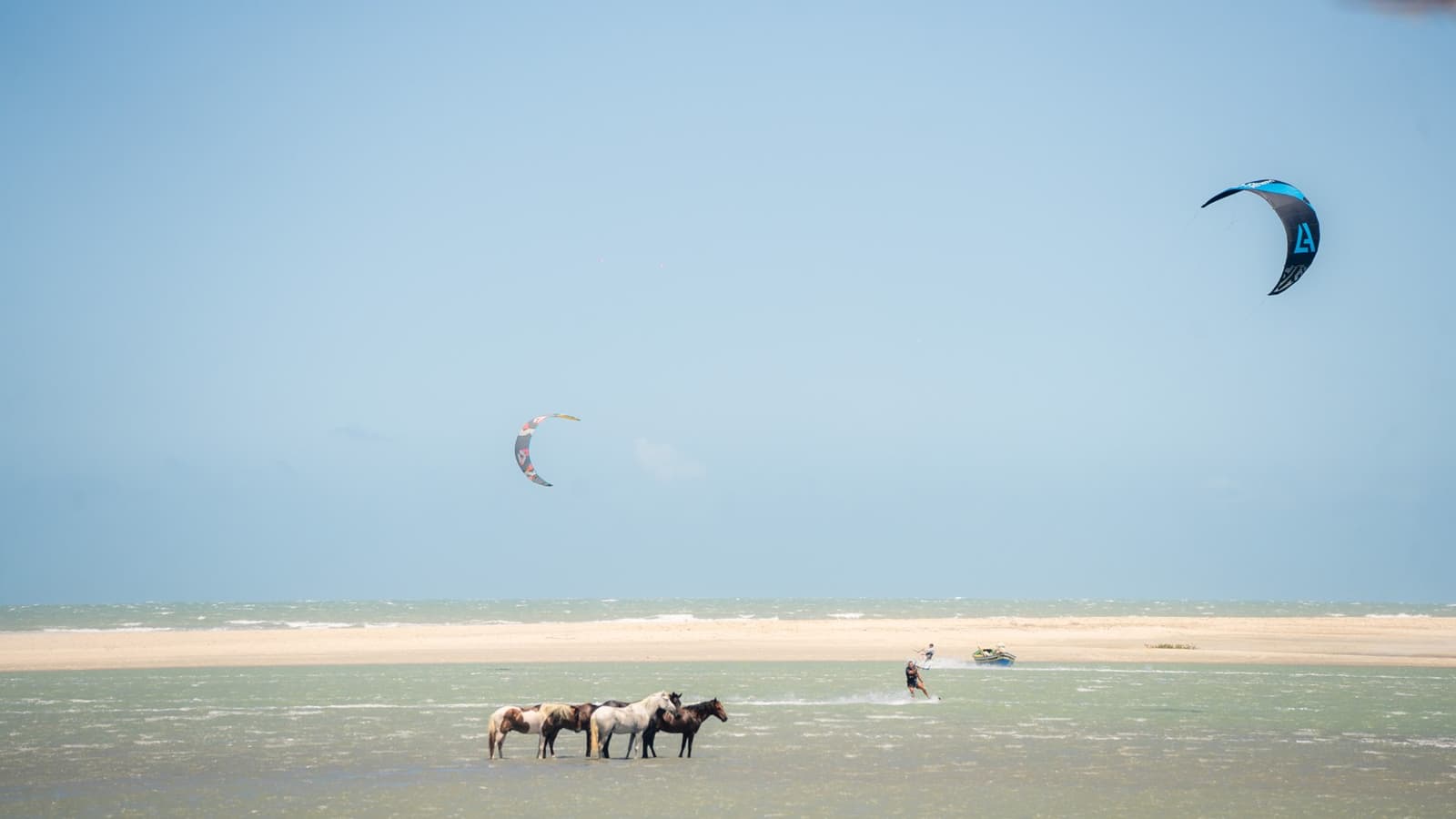Kites e cavalos dividindo uma praia vazia em Moréias