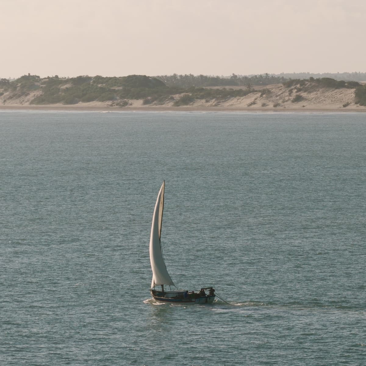 Uma jangada no mar diante da fazenda